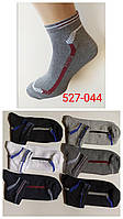 Чоловічі спортивні шкарпетки "Потап SPORT". Мікс кольорів. №527.