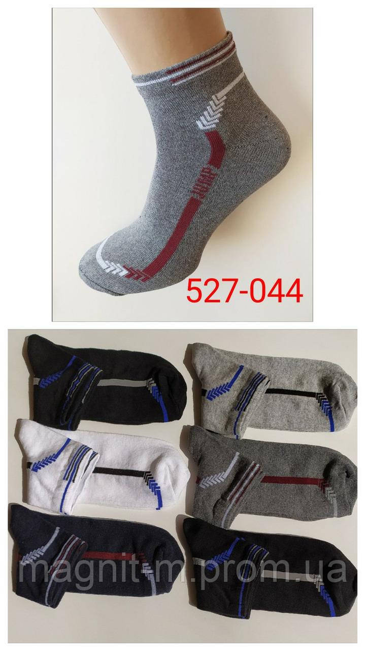 Чоловічі спортивні шкарпетки "Потап SPORT". Мікс кольорів. №527.