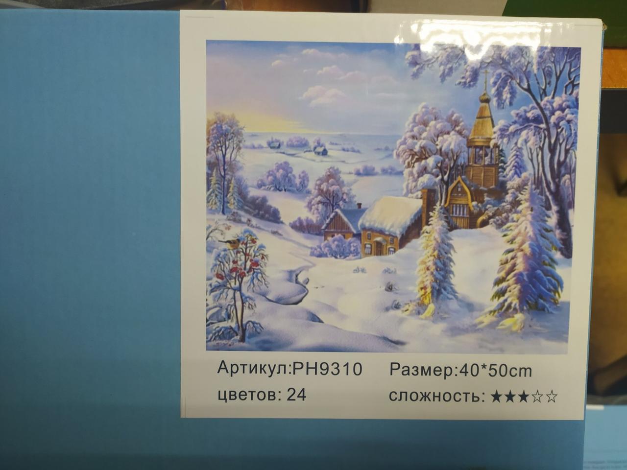 Картина-розмальовка за номерами на полотні 40*50 РН9310 "Зимовий пейзаж" (н-р акр.фарб+3 пензля)