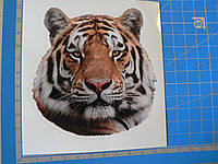 Наклейка ПП звери Тигр 100х100мм виниловая цветная с белым ободком на авто морда тигра