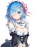 50 х 70 см 450 грн REM RAM Re Zero Рем Рам Життя Заново з нуля Подушка Дакимакура для обіймів аніме принт, фото 3