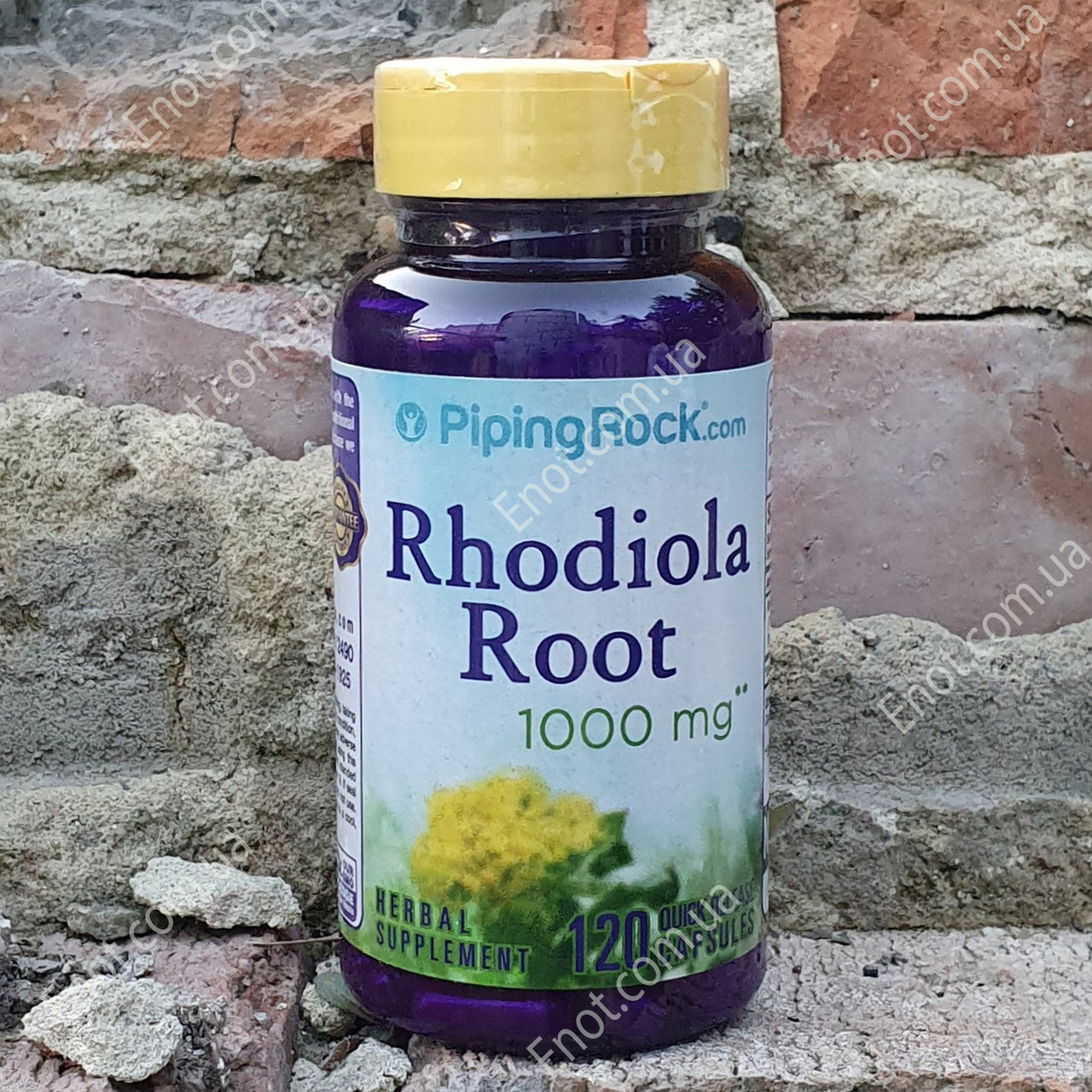 Родиола Piping Rock Rhodiola Root 1000 мг 120 капсул - фото 1 - id-p1232223863