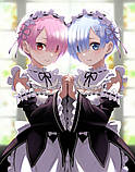 50 х 34 см 450 грн REM RAM Re Zero Рем Рам Заново Жизнь с нуля Подушка Дакимакура для обнимания аниме принт, фото 4