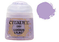 Citadel Dry Lucius Lilac