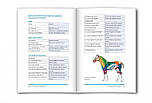 Книга "Introduction to the Equine kinesiology taping method" англійською мовою, фото 6