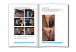 Книга "Introduction to the Equine kinesiology taping method" англійською мовою, фото 5