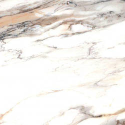 Cerrad Calacatta Gold Poler 60х60
