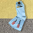 Високі шкарпетки з принтом pornhub білі 36-44, фото 2