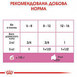 Royal Canin Babycat Instinctive Cans 0,195 кг мус для кошенят до 4 місяців, фото 3