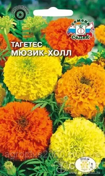 

Семена Бархатцы Тагетес низкорослые Мюзик-Холл Смесь 0,1 грамма Седек, Разные цвета