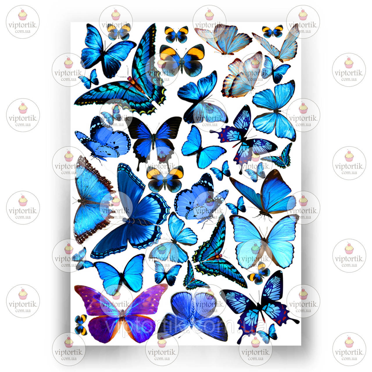 Друк їстівного фото — Метелики No3, фото 1