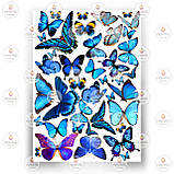 Друк їстівного фото — Метелики No9, фото 7