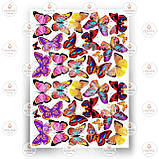 Друк їстівного фото — Метелики No3, фото 9