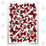 Друк їстівного фото — Метелики No9, фото 4