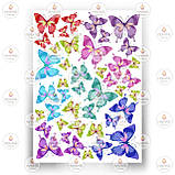 Друк їстівного фото — Метелики No9, фото 3