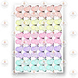 Друк їстівного фото — Метелики No9, фото 9