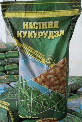 Насіння кукурудзи ДН Фієста ЮгАгроСервис ФАО 260, посевамат середньорання кукурудза, фото 1