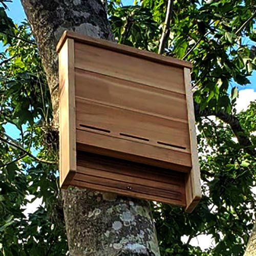 Будиночок для кажанів "Ардоп" мускат