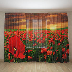 Фотоштори і фототюль маки