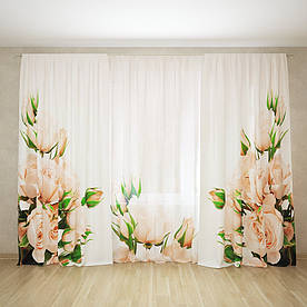 Фотоштори і фототюль кремові троянди