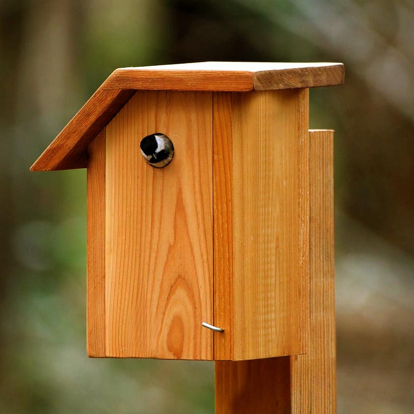 Шпаківня садова "Глухар" сієна