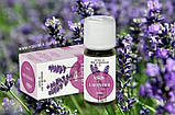 Ефірне масло Лаванда Вівасан, Швейцарія, 1 мл, фото 6