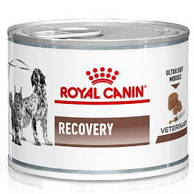 Royal Canin Recovery 0,195 кг — Консерва для собак і кішок у відновний період