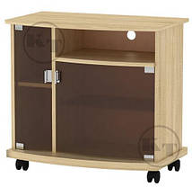 Тумба під телевізор NEW Амбасадор 652х700х430мм Компаніт, фото 4