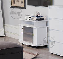 Тумба під телевізор Америка 643х800х440мм Компаніт, фото 3