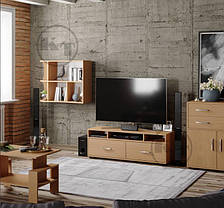 Тумба під телевізор Плазма 430х1202х380мм Компаніт, фото 3