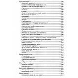 РОЗПРОДАЖ! ЗНО. Українська література. Довідник для абітурієнтів та школярів (Мелешко В.А. Радченко І.О., фото 4