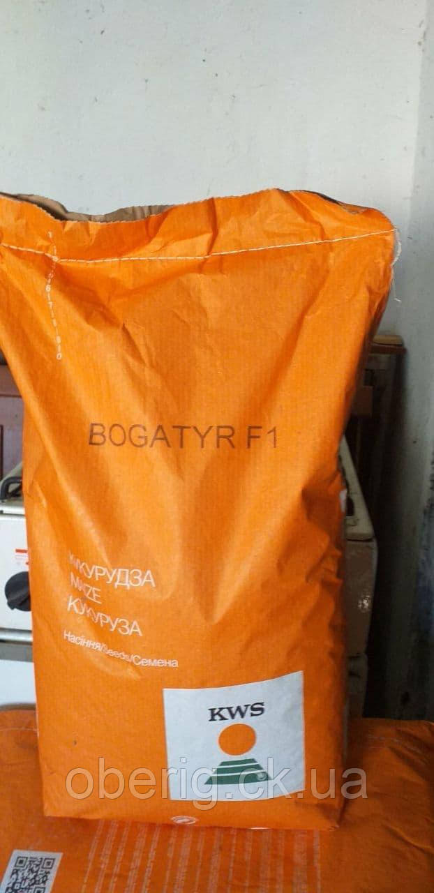 Насіння кукурудзи Богатир F1 KWS ФАО 290, посівна одиниця