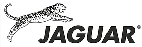 Перукарські ножиці JAGUAR