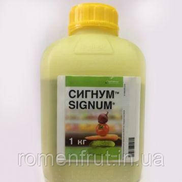 Сігнум, в.г.