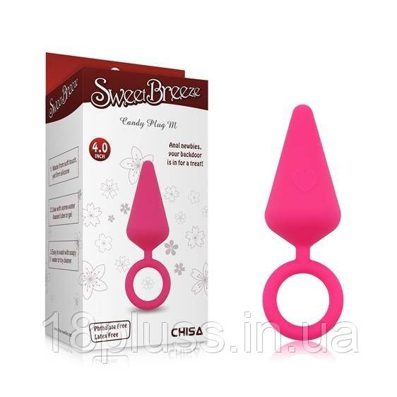 Анальний затор Sweet Breeze Anal Plug L Purple, фото 1