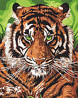 Картина по номерам Непобедимый тигр, 40x50 Идейка (КНО4143)