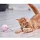 Іграшка для котів М'ячик з лазером Доганяйка CatNip LED інтерактивна рожевий, фото 3