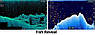 Ехолот Lowrance HOOK Reveal 9 TripleShot, фото 7
