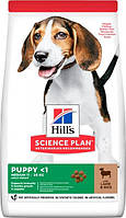 Hill's Science Plan Puppy Medium Lamb & Rice з ягням та рисом для цуценят середніх порід 2,5 кг