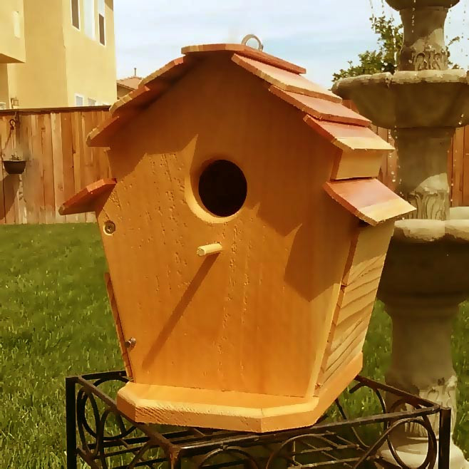 Шпаківня садова "Пісочник" каррі