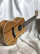 Укулеле OSTEN UK 32 24 концерт, фото 2