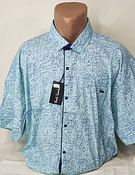 Сорочка чоловіча з коротким рукавом супербатальна Paul Smith vk-0112 м'ятна в принт стрейч-котон Туреччина 8XL