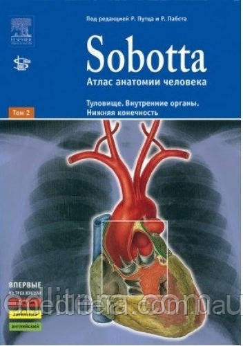 Атлас анатомії людини. Sobotta, Соботт 2 тому