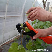 Набір MAX ORIGINAL: садовий степлер HT-R1 GUN MAX + скоби MAX 604E-L + стрічки MAX TAPE 20 рулонів, фото 5