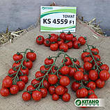 Ітіро (KS 4559 F1) 5 шт насіння томату черрі Kitano, фото 6