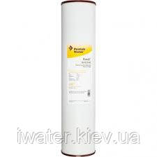 Картридж Pentek RFFE 20ВВ для видалення заліза