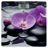 Ваги підлогові