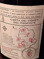 Вино 1983 года Dolcetto D`Alba Bersano Италия, фото 3