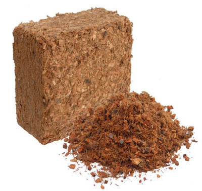 Кокосовий субстрат