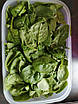 Контейнер Розумний холодильник Tupperware (1,8 л) для овочів і фруктів Tupperware (Оригінал) Тапервер, фото 9